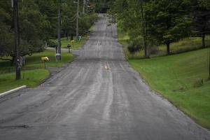 gatto nel nuovo York contea nessuno strada foto