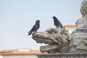 Firenze piazza della signoria statua foto