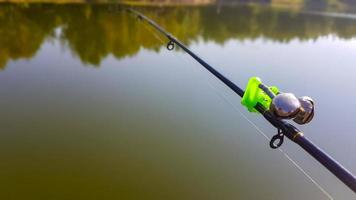 swing pesca. canne per carpa pesca con un' segnalazione avvicinamento. genere di baccello. pesca per carpa su il sfondo di il lago. il pescatore catture carpa. foto