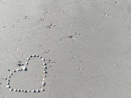 avvicinamento mare conchiglia rendere disposte cuori forma su grigio sabbia spiaggia con sole leggero su estate foto