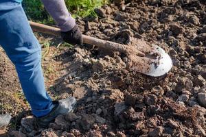 contadino Lavorando nel un' giardino. Lavorando con un' pala. scavare su il terra. pianta un' Ritaglia. foto