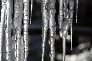 ghiaccioli congelato ghiaccio su albero rami foto