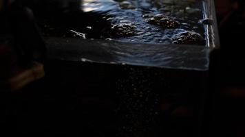 acqua nel acquario. acquario nel camera. bolle su superficie di acqua. foto