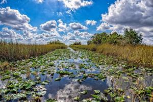 Florida Everglades Visualizza panorama paesaggio foto