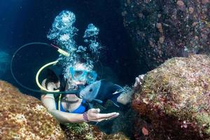 bellissimo latina tuffatore ragazza mentre toccante un' pesce foto