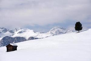 legna cabina capanna nel il inverno neve sfondo foto