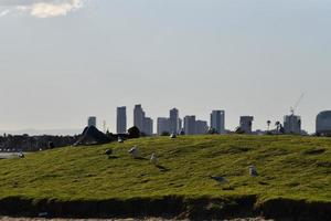 melbourne, Australia - agosto 14, 2017 - persone rilassante su st. Kilda il spiaggia foto