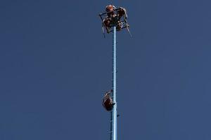 Messico città, Messico - gennaio 30 2019 - il antico danza di volantini los voladores foto