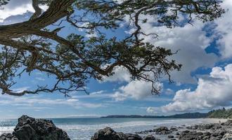 onetangi spiaggia waiheke isola nuovo Zelanda foto