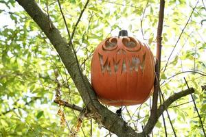 lavorato Halloween zucca sospeso da un un' albero foto