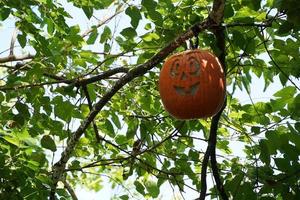 lavorato Halloween zucca sospeso da un un' albero foto