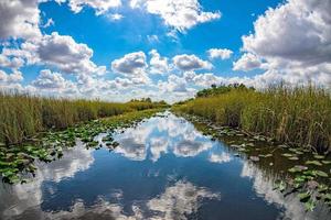 Florida Everglades Visualizza panorama paesaggio foto