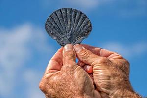 mano con un' conchiglia nel il cielo foto