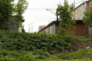 garage nel Russia. mattone garage. coperto di vegetazione burrone su sobborgi di città. foto