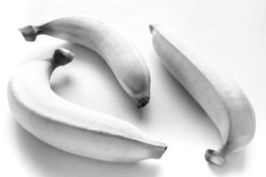 banana cavendish isolata su sfondo bianco foto