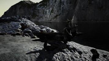 nero sabbia spiaggia nascosto fra sfocato vulcanico rocce foto