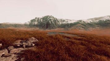 roccioso deserto paesaggio con scarso vegetazione e montagne picchi foto