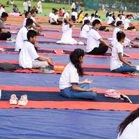 nuovo delhi, India, giugno 21 2022 - gruppo yoga esercizio sessione per persone a yamuna gli sport complesso nel delhi su internazionale yoga giorno, grande gruppo di adulti frequentando yoga classe nel cricket stadio foto