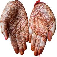 bellissimo donna vestito su come indiano tradizione con alcanna mehndi design su sua tutti e due mani per celebrare grande Festival di karwa chauth con pianura bianca sfondo foto