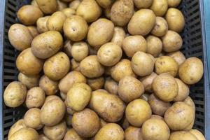 nuovo patate su il memorizzare contatore, verdura tema, fresco biologico patate foto