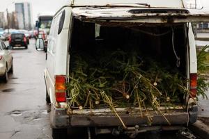 Natale albero su il carrello pronto per Raccogliere foto