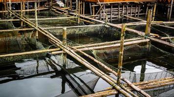 tradizionale pesce azienda agricola nel tondano lago fatto di bambù foto