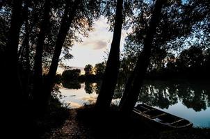 albero silhouette e paesaggio foto