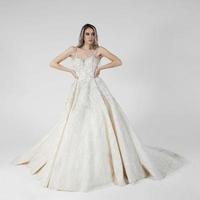 elegante sposa nel un' nozze vestito foto