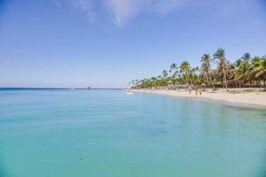 tropicale spiaggia su il caraibico isola di domenican republik durante giorno foto