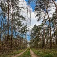 Immagine di un' energia polo nel un' boscoso la zona con un' stretto a piedi sentiero durante il giorno foto