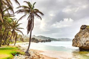 viewover bagno spiaggia su barbados durante giorno foto