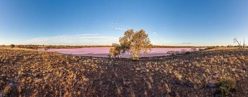 panoramico Visualizza di rosa lago crosbie nel Sud dell'australia murray-tramonto nazionale parco foto