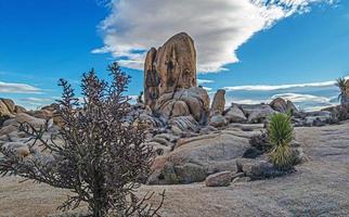 immagine di arco roccia la zona nel il yoshua albero nazionale parco con cactus alberi nel California durante il giorno foto