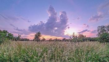 Visualizza al di sopra di prato nel primavera durante tramonto con fioritura fiori e colorato cielo foto