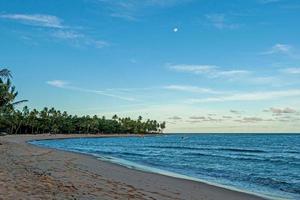 panoramico Visualizza al di sopra di il infinito e abbandonato spiaggia di praia fare forte nel il brasiliano Provincia di bahia durante il giorno foto