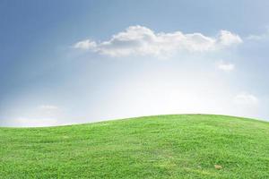 erba verde e cielo blu foto