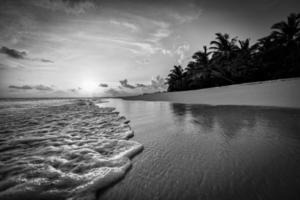 tranquillo spiaggia paesaggio nel nero e bianca. drammatico monocromatico Paradiso isola ispirare meditazione viaggio sfondo. palma alberi bianca sabbia buio cielo artistico onde rilassare costa. estate minimo viaggio foto