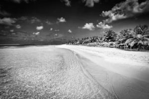 tranquillo spiaggia paesaggio nel nero e bianca. drammatico monocromatico Paradiso isola ispirare meditazione viaggio sfondo. palma alberi bianca sabbia buio cielo artistico onde rilassare costa. estate minimo viaggio foto