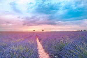 colorato natura paesaggio. romantico estate Visualizza di lavanda campo e tramonto cielo. estate paesaggio prato e fiori, arancia viola colori. paesaggio onirico, tranquillo, calmo natura. ispirazione paesaggio foto