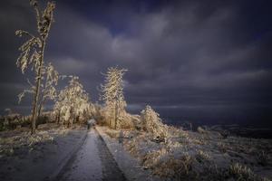 inverno foresta strada nel il montagne foto