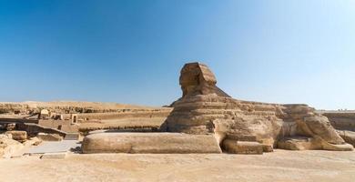 sfinge nel il egiziano deserto vicino il piramidi nel Luxor foto