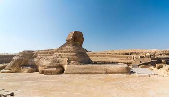 sfinge nel il egiziano deserto vicino il piramidi nel Luxor foto