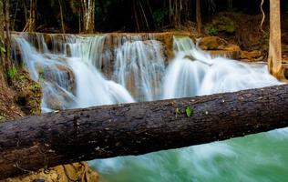 sorprendente colorato cascata nel nazionale parco foresta durante primavera, bello in profondità foresta nel thailandia, tecnico lungo esposizione, durante vacanza e rilassare volta. foto