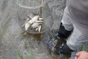 pescatore ascensori un' pesce rete. metallo maglia gabbia è installato nel il fiume acqua vicino il costa. foto