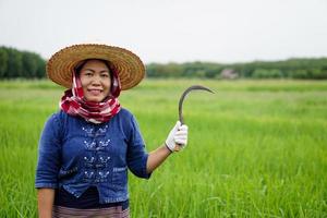 contento asiatico femmina contadino sta e detiene falce a riso risaia campo. concetto , biologico agricoltura. uso agricolo attrezzo di mano per ottenere sbarazzarsi erbacce anziché di erbicida. sicuro colture foto