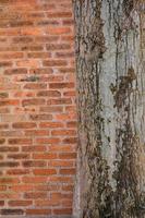 verticale arancia piazza mattone bloccare parete strutturato e di legno albero sfondo. forte interni Casa costruzione. foto