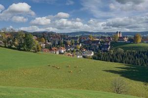 famoso villaggio di sankt maergen nel nero foresta, Germania foto