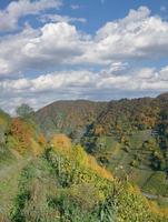 sentiero nel vigneto, ahrtal vicino per cattivo neuenahr-ahrweiler prima alluvione 2021, germania foto