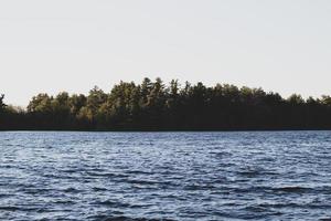 alberi verdi vicino a uno specchio d'acqua foto