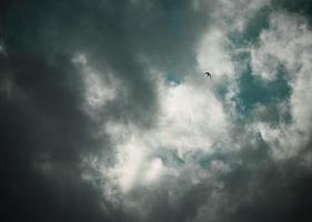 un uccello che vola in un cielo nuvoloso foto